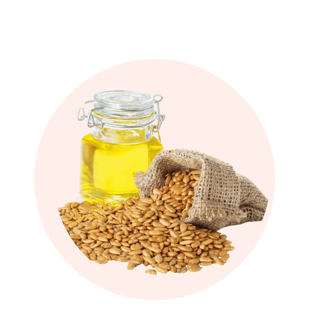 graines de tournesol bienfaits