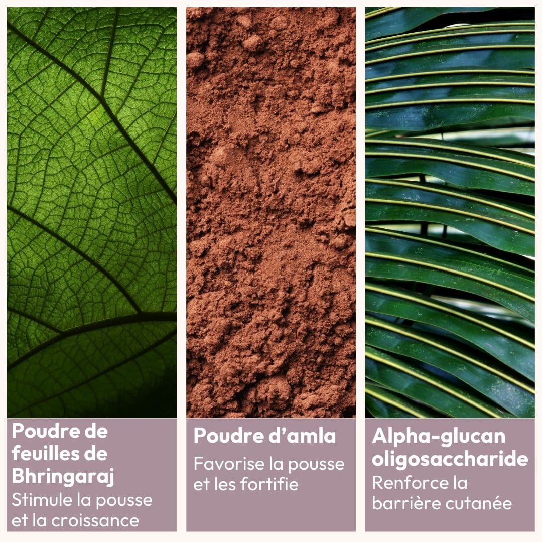 ingrédients poudre