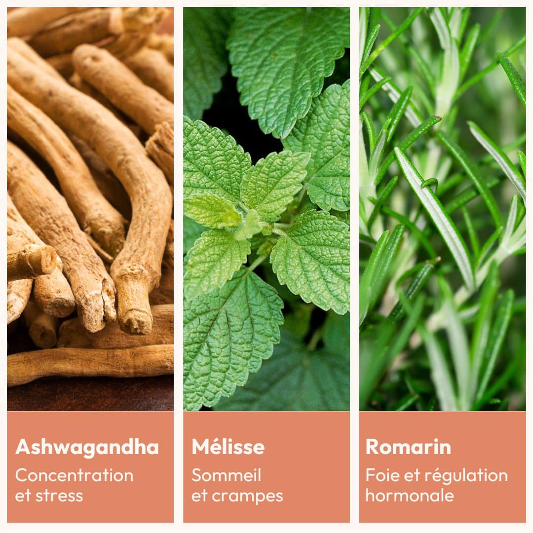 complément alimentaire fatigue